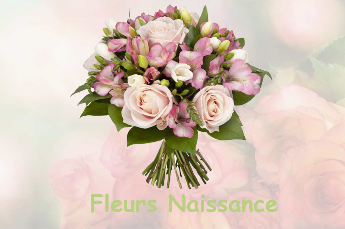fleurs naissance FRANSU